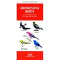 Waterford Press Minnesota Birds Book: An Introduction to Familiar Species State Nature Guides WFP1583551035